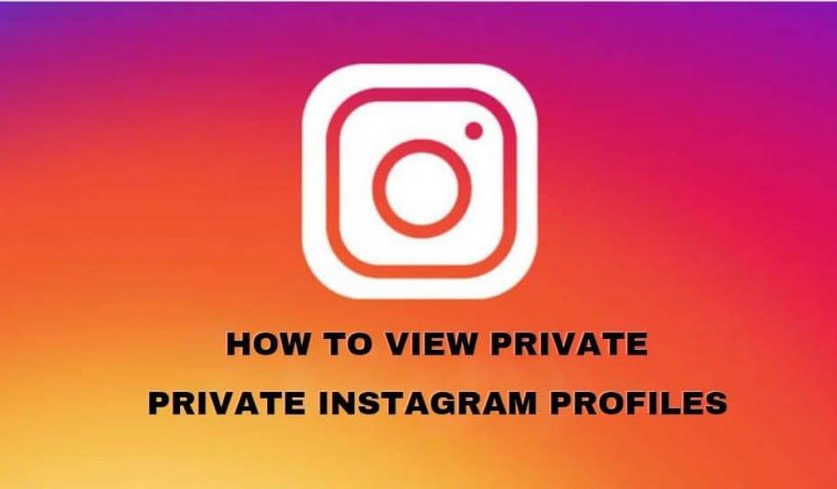 How-to-View-Private-Instagram-Profiles