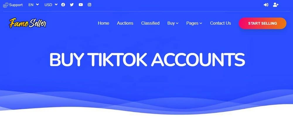 Buy Tik Tok Account for FameSeller