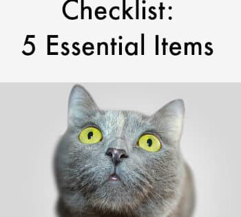 Pinterest SEO Checklist