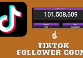 Tiktok Followers Count